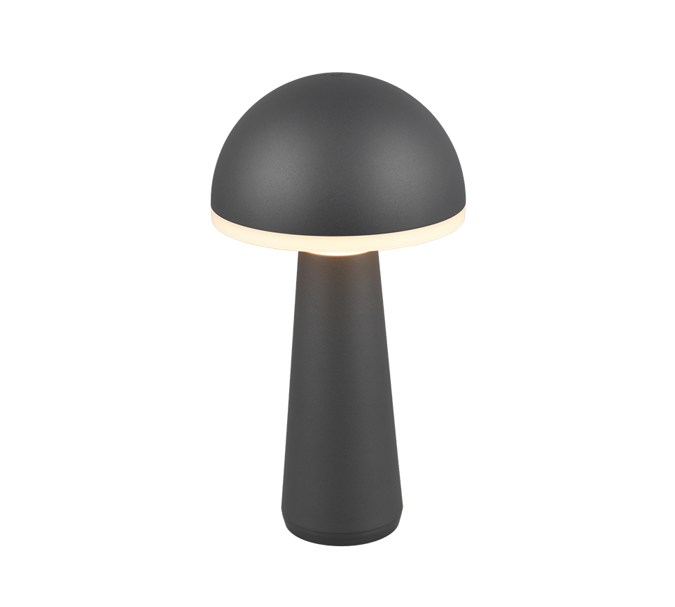 R57716142 FUNGO Accu Tafellamp 2w 200lm CCT Antraciet