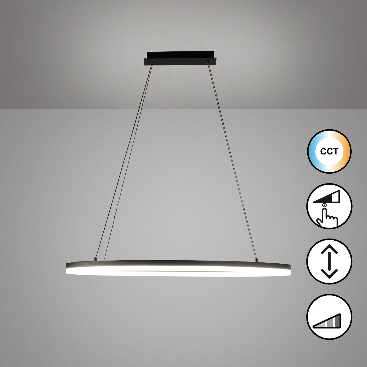 Ovaal Pendel 38w 4500lm CCT Zwart