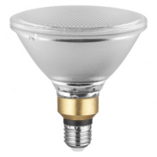 PAR38 LED (1).jpg