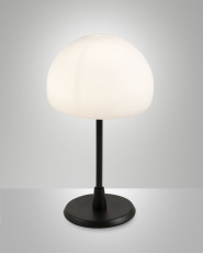Touchlamp 2.jpg