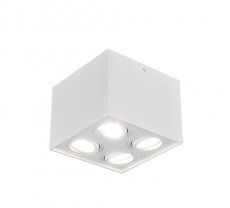 Led spot wit (1).jpg