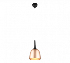 139342 Hanglamp E27 Zwart Champagne.png