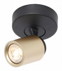 Spot G10 zwart mat goud (1).jpg
