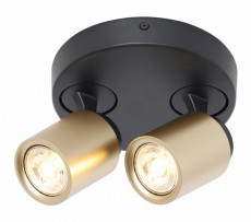 Spot R2xG10 zwart mat goud (1).jpg