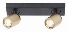 Spot 2xG10 zwart mat goud (1).jpg