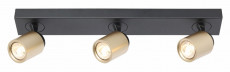 Spot 3xG10 zwart mat goud (1).jpg