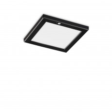 Plafondlamp IR VK zwart.jpg
