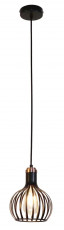 Hanglamp 1 Licht  (1).jpg