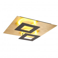 LED PLAFONDLAMP (1).jpg