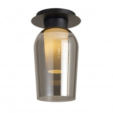 Plafondlamp.jpg