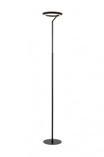 Led Vloerlamp zwart.jpg