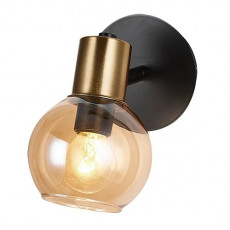 SPOT 1 Amber (1).jpg