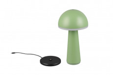 ACCU TAFELLAMP groen (1).jpg