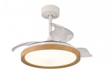 LED PLAFONDVENTILATOR (1).jpg