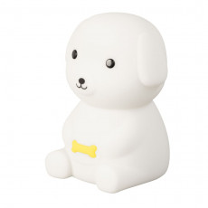 ACCU KINDERLAMP (1).jpg