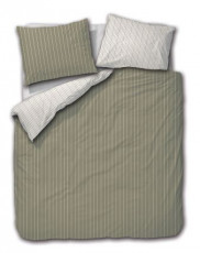 perry olive.JPG