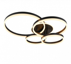 DRAKE (1).png