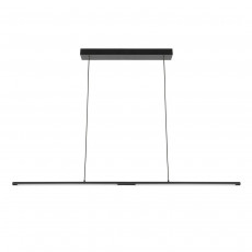 pendel torch 6826 (1).jpg