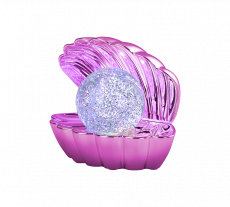 SHELLY R57731193 (1).png