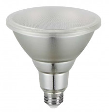 PAR35 LED (1).jpg