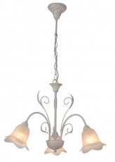 Luster 3 (1).jpg