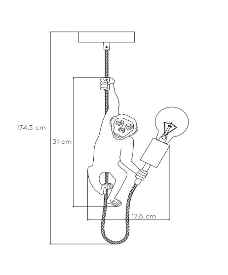 10402/01/30 EXTRAVAGANZA CHIMP Hanglamp E27 Aap