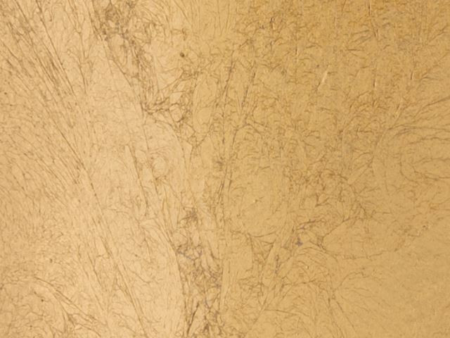Spot GU10 4w Zwart Bladgoud