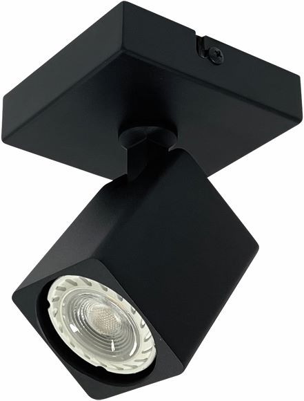 Spot GU10 Zwart