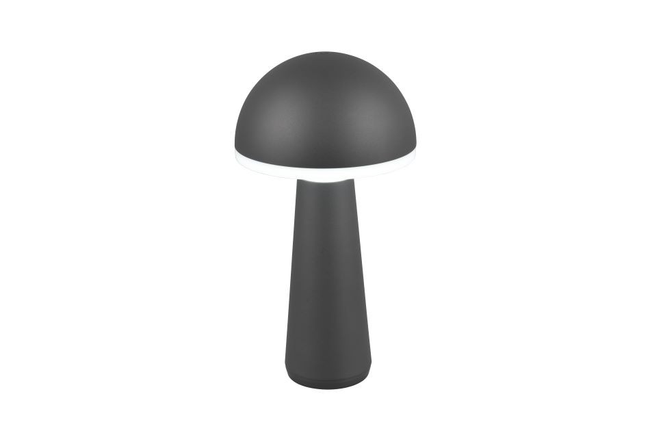 R57716142 FUNGO Accu Tafellamp 2w 200lm CCT Antraciet