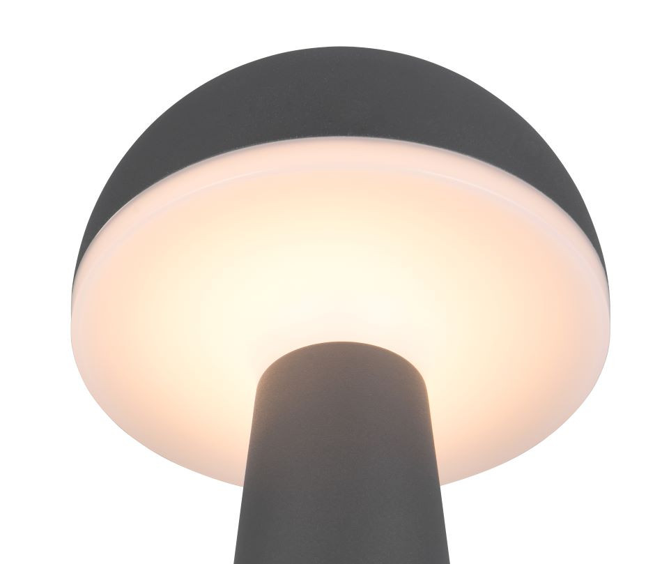 R57716142 FUNGO Accu Tafellamp 2w 200lm CCT Antraciet